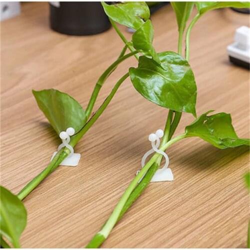 10/20pcs Invisible Wall Rattan Clamp Clip Invisible Wall Vine Climbing Sticky Hook Rattan Fixed Clip Bracket Plant Stent