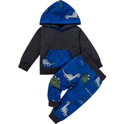 2 Pcs Infant Color Block Outfits, Baby Dinosaur Print Long Sleeve Hoodie with Pocket + Trousers