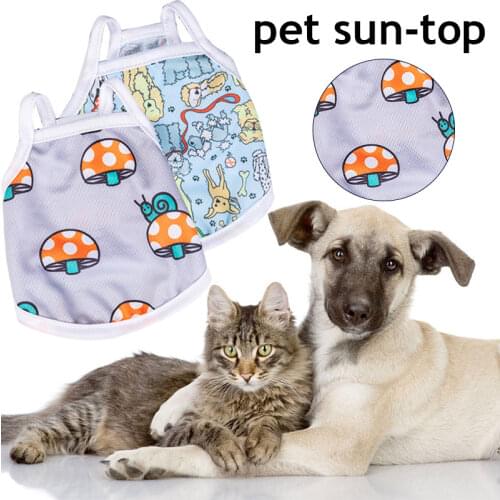 Pet Clothes Thin Section Hat Clothing With Hat Fruit Printed Summer Sun Protection Two Legs Dog Clothes Fashion Summer Hoodie