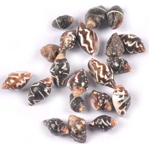 20Pcs Black Stripe Spiral Conch shell home decoration accessories Natural shells For Handmade Crafts decor Jewelry DIY Making