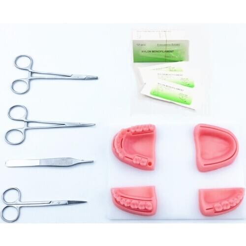 Dental Supply Simulation oral suture model with needle Gum suture teaching training tools skill practice