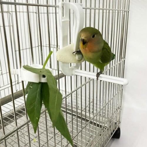 Birds Food Holder Pet Parrot Feeding Fruit Vegtable Clip Cuttlefish Bone Feeder Device Pin Clamp Bird Cage Accessories