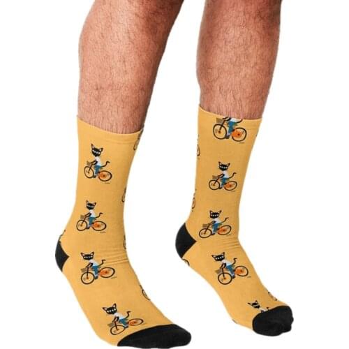2021 Funny Mens socks Summer cat cycling Pattern Printed hip hop Men Happy Socks cute boys street style Crazy Socks for men