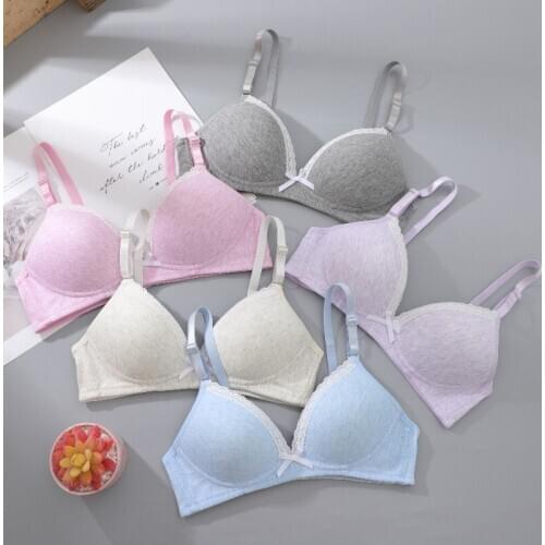 Lace Cotton Sexy Bra Push Up Bras For Women thin wireless soft underwear bra sexy gathering small brasiers for ladies