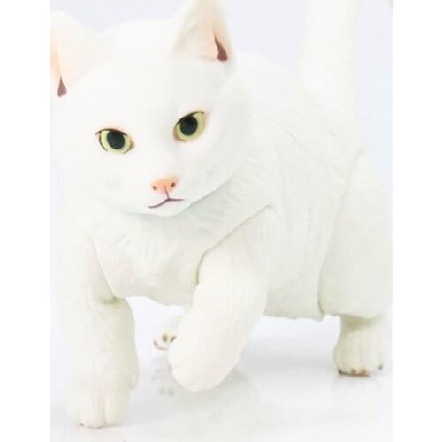 Felis Silvestris Catus Kawaii Cat BJD PVC Figure Model Toys