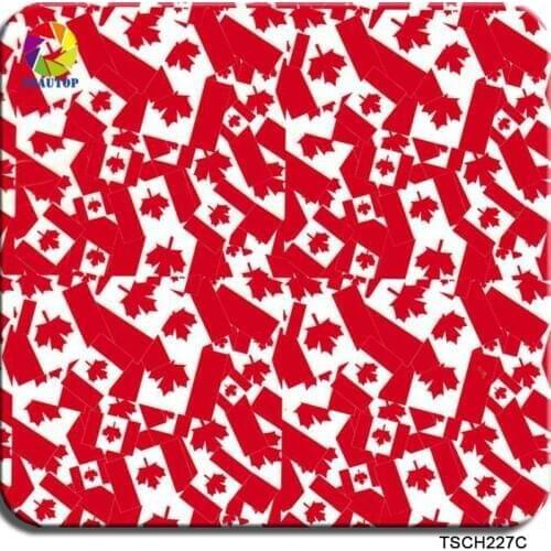 TSAUTOP Size 0.5m x 20m hydrographics film for aqua print cartoon flag printing on film WDF227C