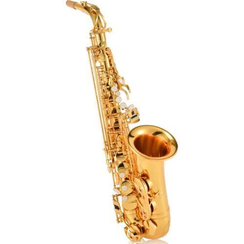 54 Quality France New Golden Saxophone E Flat Alto Saxophone Super Playing Musical Instruments Mouthpiece Gift With Case