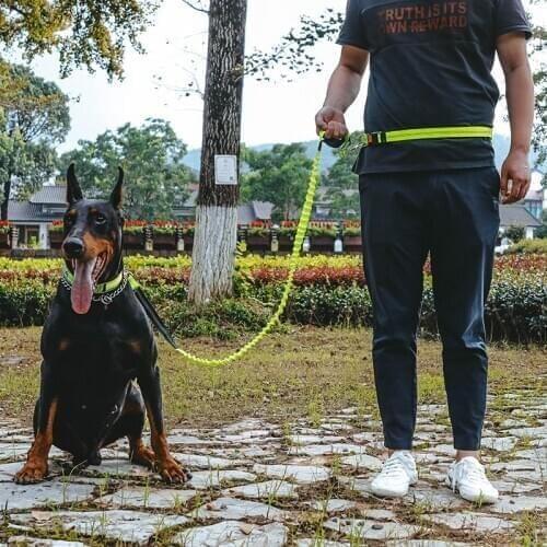 Reflective Dog leash running jogging Pet lead adjustable walking hand free Waist Belt Dog traction rope for Small Large Dogs