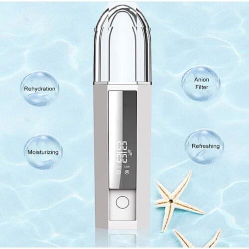 Mini portable electrostatic Facial Body alcohol nano spray beauty mist sprayer sanitizer machine Instruments