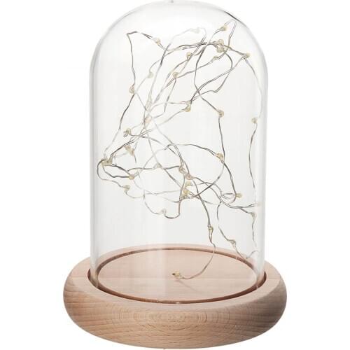 XINCHEN Storage Jars