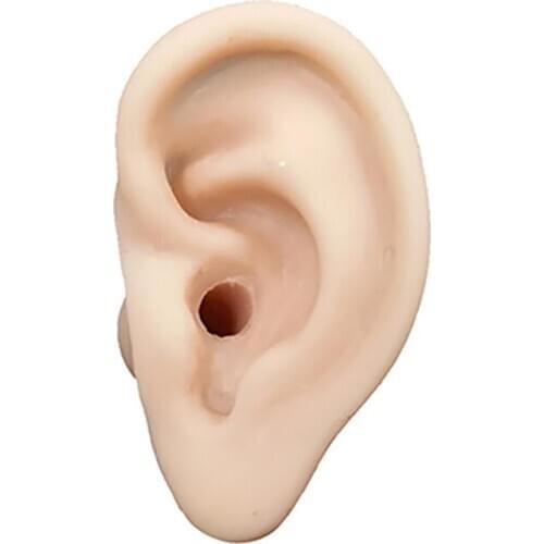 1pcs Silicone Ear Model Professional Practice Ear picking Tools Ear Studying Display Tools Can Be Reused Human Anatomical Model