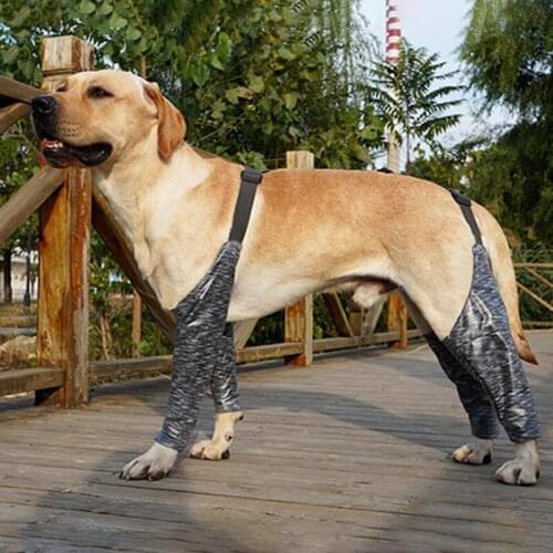 New Pet Dog Supplies Outdoor Gray Four-Legged Pants Dog Harness Leg Cover Waterproof Dirt-Proof Anti-Urinating Leg Pet Products