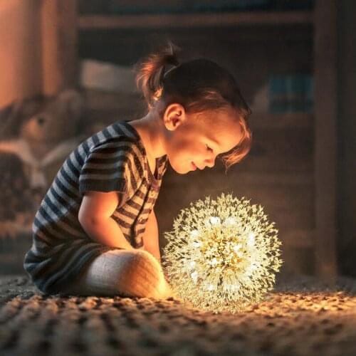 Scandinavian Luxury Chandelier Crystal Gilt Globe Home Decoration Lamp Creative Indoor Cloakroom Bedroom Hanging Light Fixtures