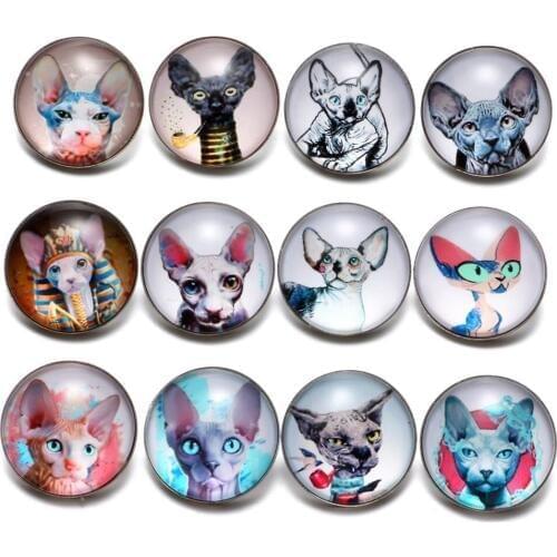 12pcs/lot Cute Cat Theme 18mm Glass Snap Button Charms For 18mm Snaps Bracelet Snap Jewelry KZ0637