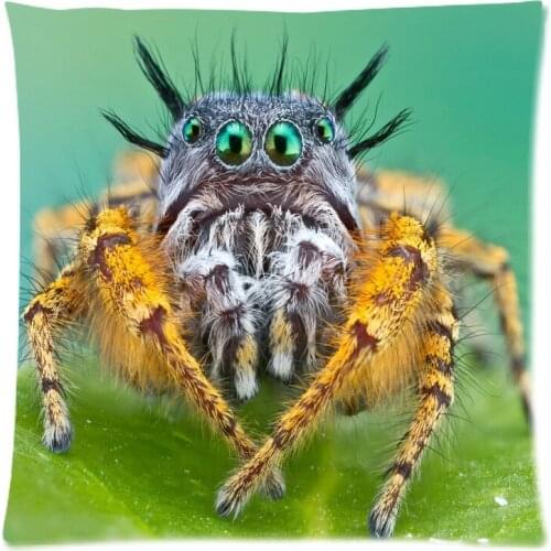 2018 Personalized Pillowcase Spider Print Pillow Cases Polyester Sofa Car Cushion Cover Home Decor 45x45cm