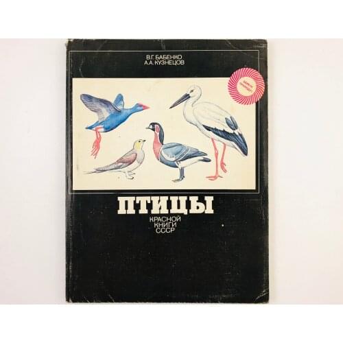 Педагогика Stationery