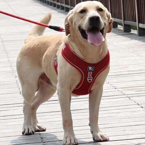 Large Dog Harness Vest big Dog Harnesses Breathable Mesh pet Walking lead Reflective dog chest strap for Labrador Husky Dogs