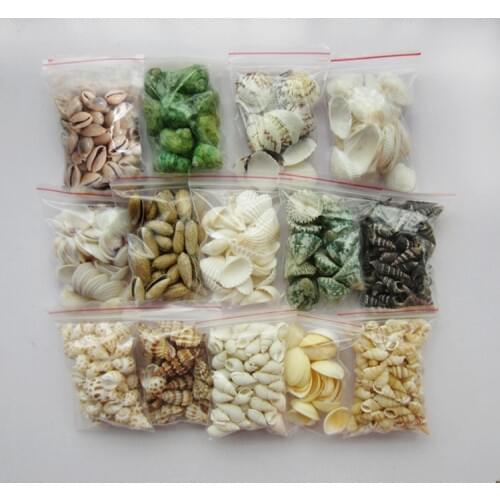 Lots of interesting mixed sea shell shell craft aquarium nautical decoration ornaments natural mini conch handmade materials