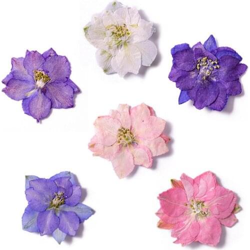 12pcs per bag Different Pink Color Larkspur DIY Pressed flowers Bouquet cell phone case wholesale Free Shipment