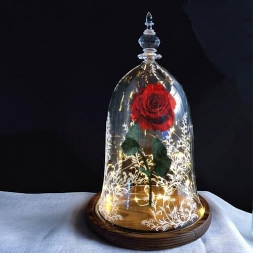 10*15cm Small Size Lumiouns Series Higher Top Glass Dome Vase Home Decoration Little-Prince Cover Friend Gift Wedding Prop