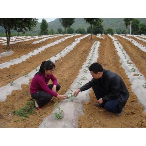 Free shipping,2 silk film,2*10M,white color.bonsai Greenhouse cultivation of vegetables, fruits, potted plant.Insulation weeding