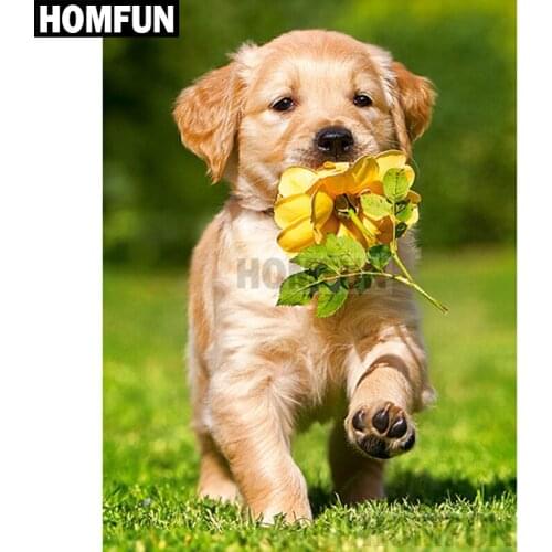 HOMFUN Full Square/Round Drill 5D DIY Diamond Painting "Animal dog" Embroidery Cross Stitch 5D Home Decor Gift A01987