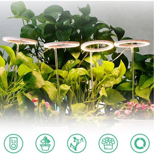 Huaying LED Plant Lamps
