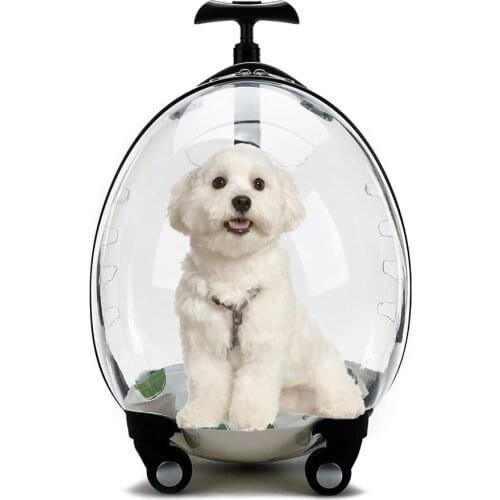 Pet Trolley Case Cat Going Out Carrying Case Transparent Eggshell Travel Box Pet Going Out Luggage Cat Space Capsule Bubble Box