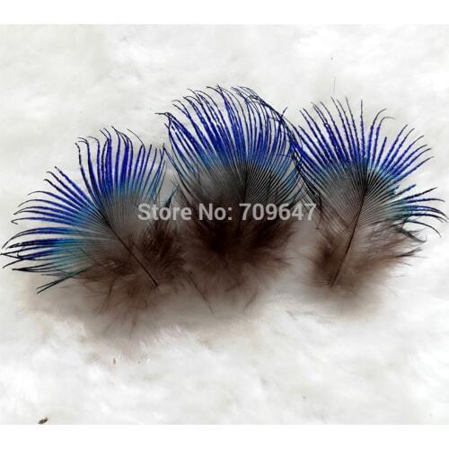 200pcs/Lot Approx 2-4cm Vibrant Iridescent BLUE PEACOCK BODY PLUMAGE FEATHERS,Small Peacock feathers for Jewelry Making