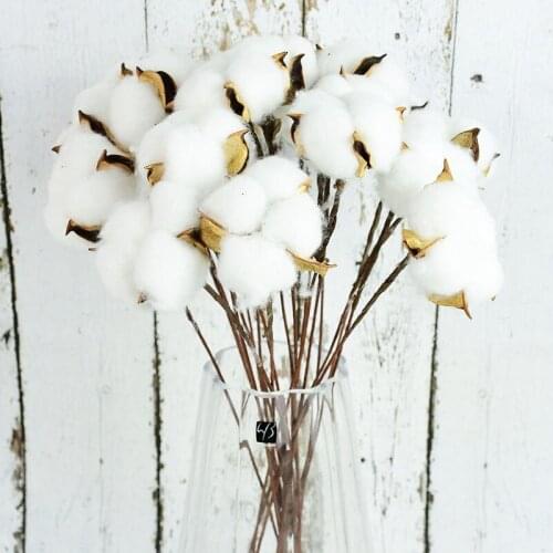 10pcs Natural Dried Cotton Flowers White Home Room Decor Artificial Floral Branch Bridesmaid Bouquet Fake White Flower Mariage