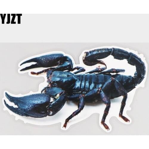 YJZT 17.5×10.3CM Real Shot Black Scorpion Decorative Scratches Cartoon Car Stickers 21A-0608