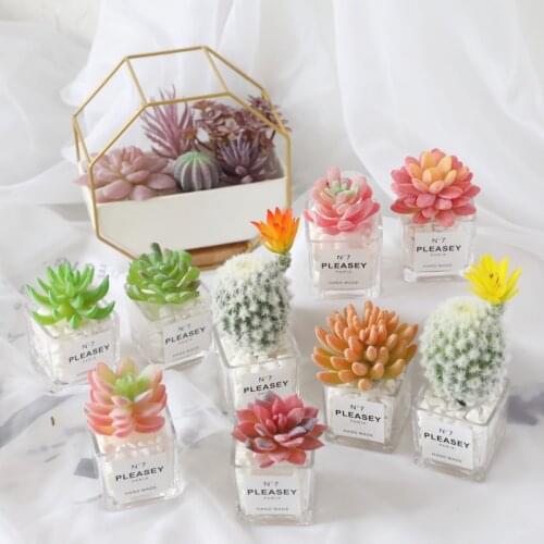 Simulated Potted Succulent Cactus INS Fake Dry Flowers Green Plants Indoor Table Tops Bookshelves Decoration Accessori