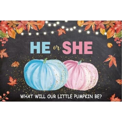 What Our Little Pumpkin Be Birthday Backdrop Party Room Decor Photo Booth Studio Prop