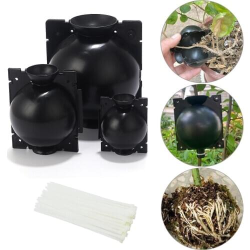 Plant Rooting Ball with Fixed Tie Band Grafting Root Growing Box Breeding Case Garden Plant Sapling High Propagation Germination