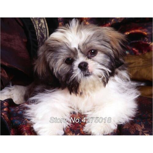 DIY 5D full drill embroidery animal "shih tzu dog" Diamond Painting Cross Stitch square Rhinestone mosaic decoration,art YG682