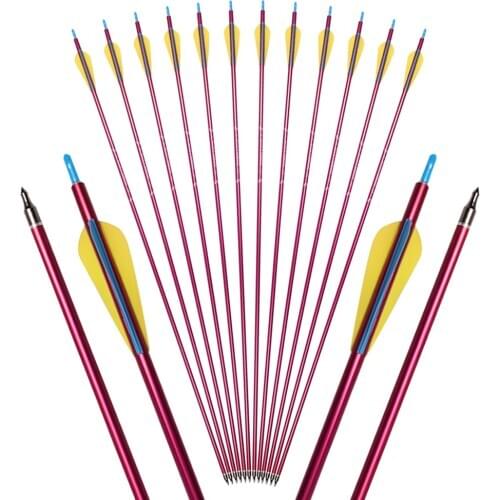 Huntingdoor Mobile Pointed Aluminum Alloy Arrow, Can Be Used For Compound Bow/Recurve Archery Hunting And Target Practice Arrows