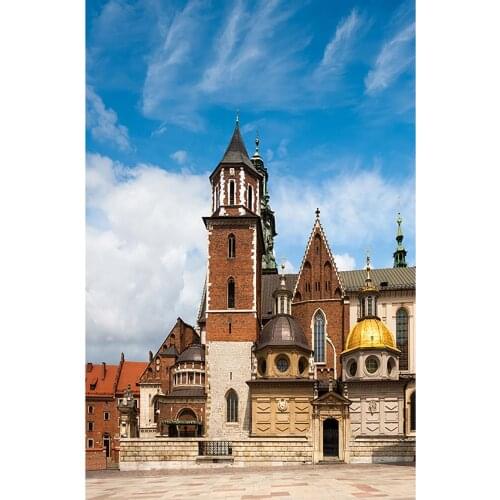 Vintage Buildings Street Photography Background Customized Backdrop Photo Studio for Children Baby Portrait Scenic Photophone