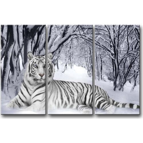 3pcs square/Round living room diamond embroidery White tiger Cross Stitch full Rhinestone mosaic decoration diamond painting