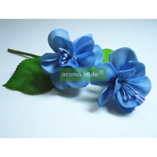 1000 pcs /lot Handmade sola wood flowers for fragrance diffuser and home decor with 12cm Rope or rattan reed sticks Top quality