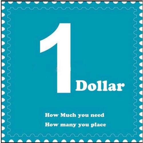 Additional Pay on Your Order & Extra Fees & Shipping cost / Postage Difference