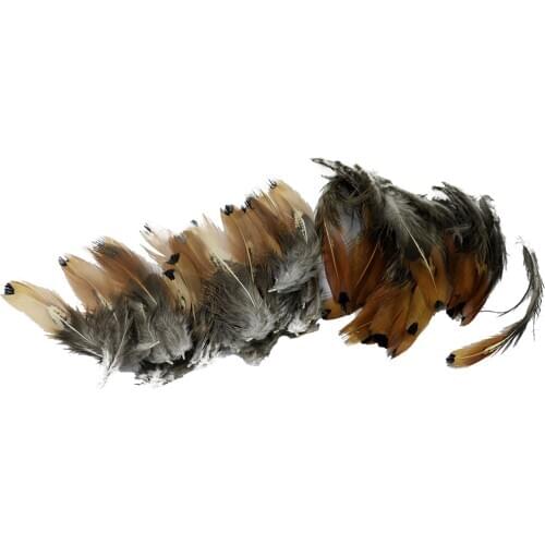 Fityle 50 Pieces Natural Chicken Feather DIY Craft Accessories Home Decor 5-10cm