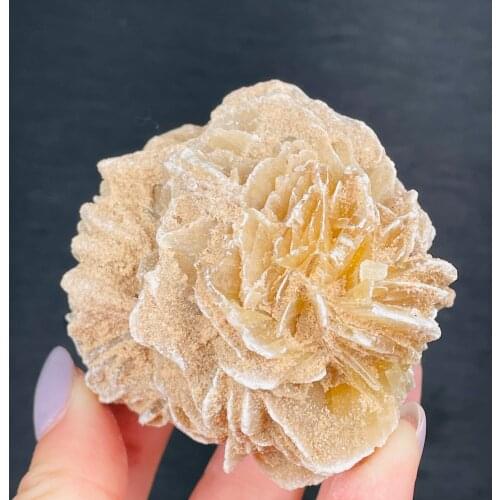 New!!! Natural Moroccan Desert Rose Raw Stone Gem Mineral Specimen Decoration Process Collection Home Decoration