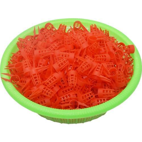 20 Pcs/Set Bee Queen Cap Protective Cell Cover Beekeeping Tools Beekeeper Equipment Plastic Cage Beekeeping Supplies