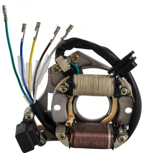 2 Coil 5 Wire Stator Magneto 50cc 70cc 90cc 110cc 125cc ATV Quad Scooter Mope