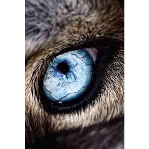 Dpsprue 5D Full Square Round DIY Diamond Painting Cross Stitch Eye 3D Embroidery Diamond Mosaic Home Decoration Gift