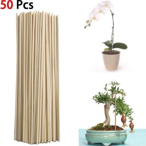 50 Pcs Wood Plant Growth Stand Bamboo Plant Grow Stand Sticks Potted Garden Flower Canes Plants Flower Cane Tools