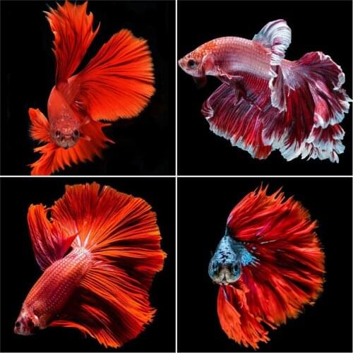 AZQSD 5D Diamond Painting Fish Full Square Drill Needlework Gift Diamond Mosaic Animal Cross Stitch Kits Decor For Home