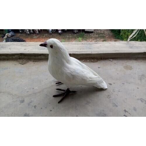 Simulation white dove 18x22cm hard model toy,polyethylene&furs peace bird model gift 1168