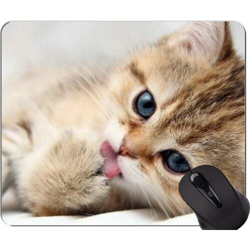 Mouse Pad with Stitched Edge,Warm heart animal cat Home Office Computer Accessories Mousepads