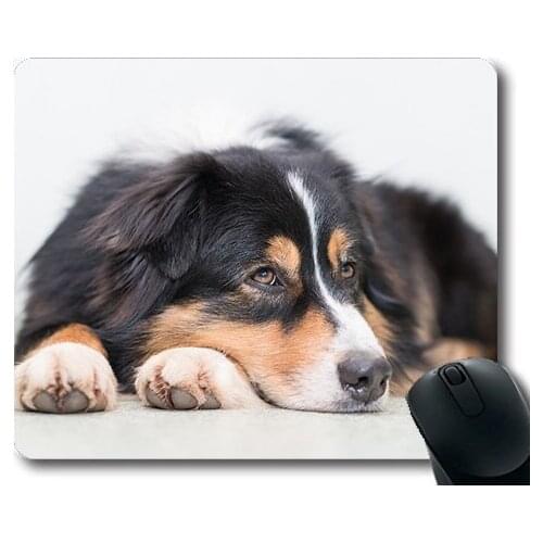 Dogs puppies pets Mouse Pads,Dog Thoughtful Quiet Relaxed Cute,dogs mouse mat